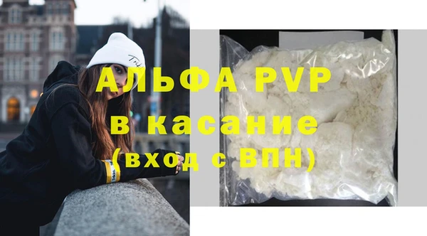 эйфоретик Бородино