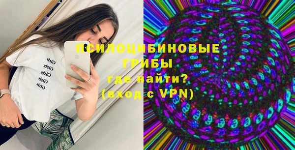 эйфоретик Бородино