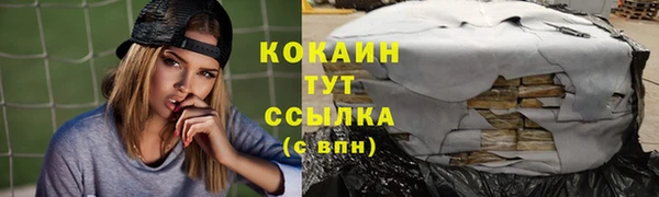 эйфоретик Бородино