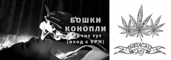 эйфоретик Бородино