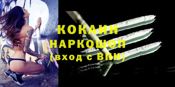 СК Волосово