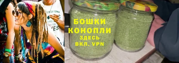 СК Волосово
